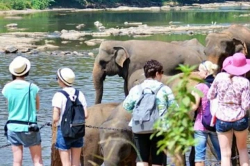 சுற்றுலா பயணிகளின் திடீர் முடிவால் இலங்கைக்கு தொடரும் நெருக்கடி