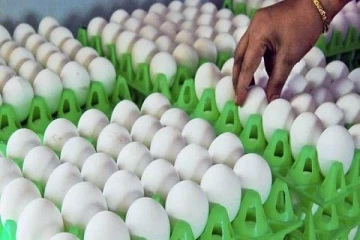 முட்டையின் விலையும்  அதிகரிப்பு