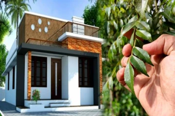 வீட்டில் எவ்வளவு பிரச்சினை இருந்தாலும் இந்த செடியை மட்டும் தனியா வளர்க்காதீங்க