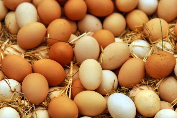 சந்தையில் முட்டை விலை வேகமாக வீழ்ச்சி | Egg Prices Are Falling Rapidly In The Market