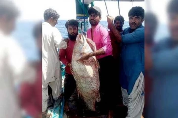 ஒரே இரவில் அடித்த அதிர்ஷ்டம்... கோடீஸ்வரரான மீனவர்