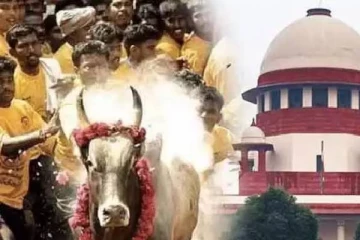 நாங்க ஜல்லிக்கட்டு பார்க்க வரலாமா : தமிழக அரசிடம் அனுமதி கேட்ட நீதிபதிகள்