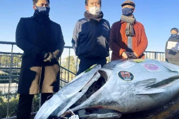 211 கிலோ டூனா மீன் எத்தனை மில்லியனுக்கு ஏலம் போனது தெரியுமா?