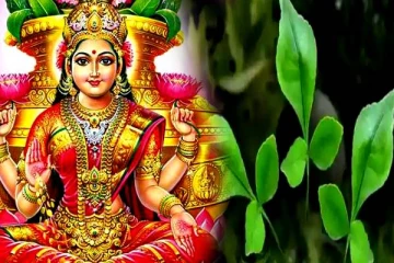 லட்சுமியை வீட்டில் குடியமர்த்தும் வில்வ இலையின் நீங்கள் அறியாத மகத்துவம்!