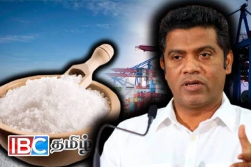 உப்பு இறக்குமதிக்கு அமைச்சரவை அனுமதி!