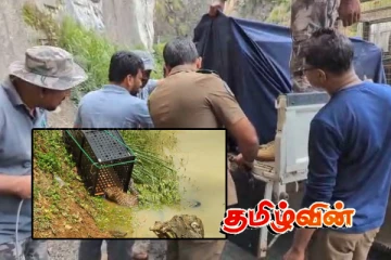 நீரில் விழுந்து உயிருக்கு போராடிய சிறுத்தை உயிருடன் மீட்பு