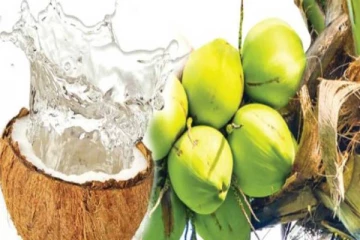 வீடுகளில் வீணாகும் தேங்காய் நீரினால் பல மில்லியன் டொலர் வருமானம்