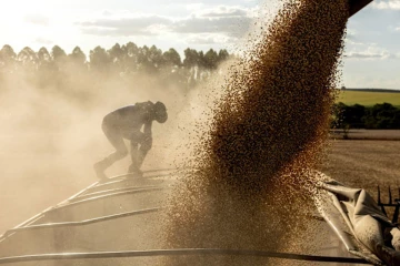 ඇවිලෙන යුද්ධෙන් - ඉරානය සියලුම ආහාර අපනයනය නවතී