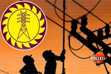 ආයෙත් කරුවලේද? විදුලි බල මණ්ඩලේ දරුණු කඩා වැටීමක්