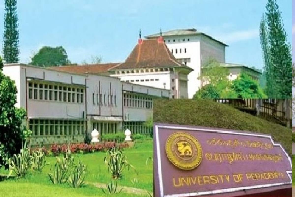 போதைப்பொருள் வியாபாரத்துக்கு பல்கலை ஊழியர்கள் ஒத்துழைப்பு!வாக்குமூலத்தால் அம்பலமான உண்மை | University Staff Collaborate With Drug Trafficking