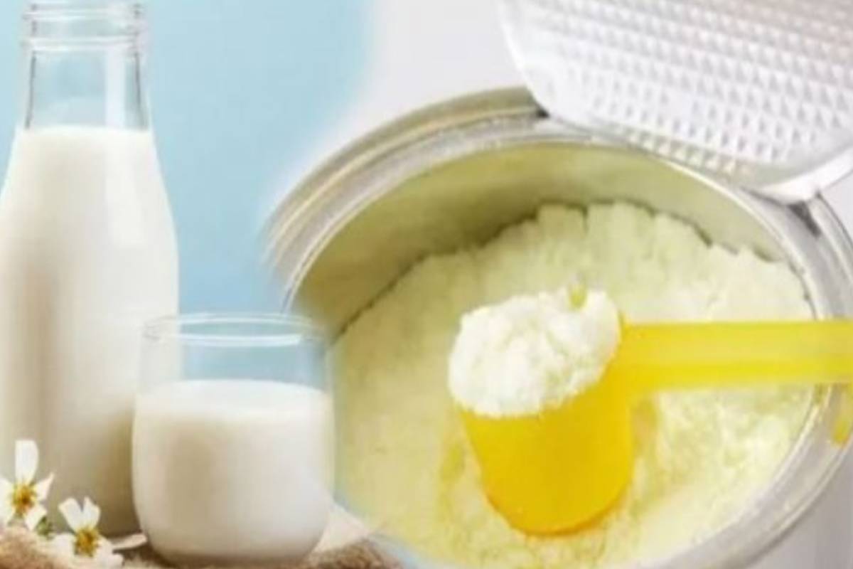 எரிபொருள் தாக்கம்! பால்மா மற்றும் கோதுமை மாவின் விலை குறித்து வெளியான அறிவிப்பு | Milk Powder Wheat Flour Price Announcement எரிபொருள் தாக்கம்! பால்மா மற்றும் கோதுமை மாவின் விலை குறித்து வெளியான அறிவிப்பு | Milk Powder Wheat Flour Price Announcement