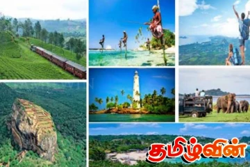 இலங்கை வரவுள்ள அவுஸ்திரேலிய சமூக ஊடக பிரபலங்கள்: முன்னெடுக்கப்படவுள்ள மிகப்பெரும் திட்டம்