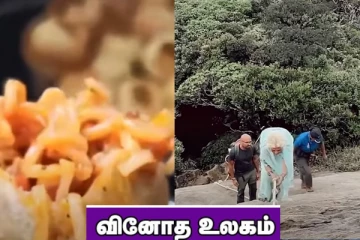 ட்ரெண்டில் இணைந்த மேகி நூடுல்ஸ்.!துணிச்சலுடன் மூதாட்டி செய்த சாகசம்...வினோத உலகம்