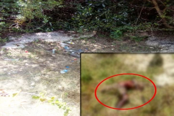 யாழ். வல்லை தொண்டமானாறு வீதிக்கு அருகாமையில் அடையாளம் தெரியாத நபர் ஒருவரின் சடலம் மீட்பு(Video)