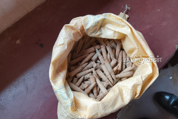 கிளிநொச்சியில் அதிகளவான துப்பாக்கி ரவைகள் மீட்பு! | Large Number Of Bullets Recovered In Kilinochchi