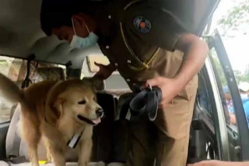 போதைப்பொருட்களுடன் சுற்றுலா சென்ற 21 பேர் ஹட்டன் குற்றத்தடுப்பு பிரிவினரால் கைது