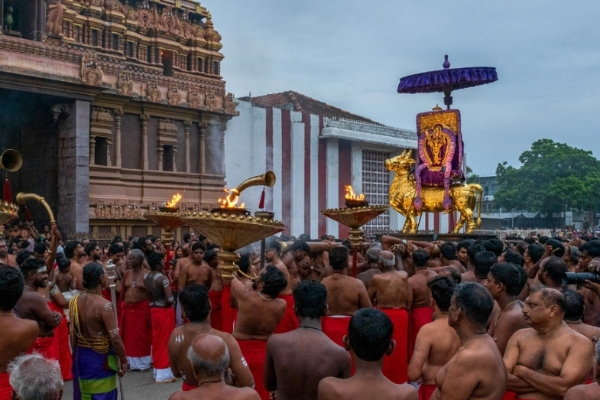 நல்லூர் கந்தசுவாமி ஆலயத்தில் கந்தசஷ்டி விரதம் | Skanda Sashti Nallur Kandaswamy Temple நல்லூர் கந்தசுவாமி ஆலயத்தில் கந்தசஷ்டி விரதம் | Skanda Sashti Nallur Kandaswamy Temple
