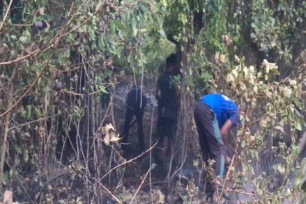 மட்டக்களப்பு பறவைகள் சரணாலயத்தில் தீப்பரவல்! | Fire Breaks Out At Batticaloa Bird Sanctuary