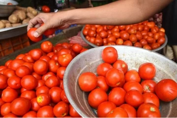 மீண்டும் உச்சத்தை தொட்ட தக்காளி விலை... எவ்வளவு தெரியுமா?