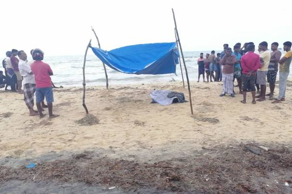 மன்னார் கடற்கரையில் காலை சடலமாக மீட்கப்பட்ட மீனவர்! | Fisherman Found Dead On Mannar Pesalai Beach
