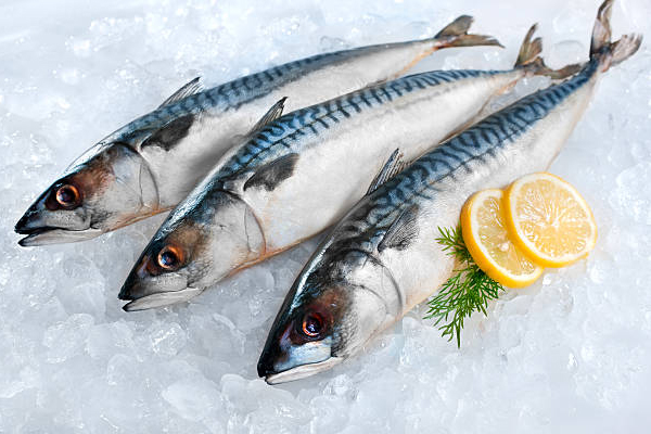 மழைக்காலங்களில் மீன் வாங்கும் போது ஏமாந்திடாதீங்க... இப்படித்தான் பார்த்து வாங்கனுமாம் | How To Check Fresh Or Spoiled Fish மழைக்காலங்களில் மீன் வாங்கும் போது ஏமாந்திடாதீங்க... இப்படித்தான் பார்த்து வாங்கனுமாம் | How To Check Fresh Or Spoiled Fish