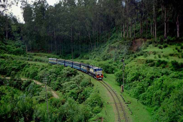 மிதிவண்டியை விட மெதுவாக செல்லும் ரயில் - தமிழ்நாட்டில் எங்கே உள்ளது தெரியுமா? | India Slowest Train Nilgiris Express In Tamil Nadu