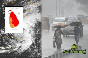 தீவிரமடையும் காற்றழுத்த தாழ்வு மண்டலம்! முழு நாட்டிற்கும் சிவப்பு எச்சரிக்கை