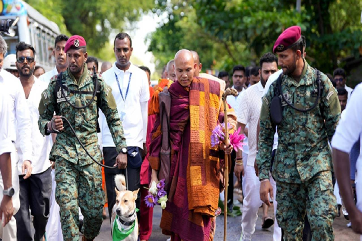 கொழும்பில் இன்று விசேட போக்குவரத்துத் திட்டம் நடைமுறை | Special Traffic Plan In Effect Today In Colombo
