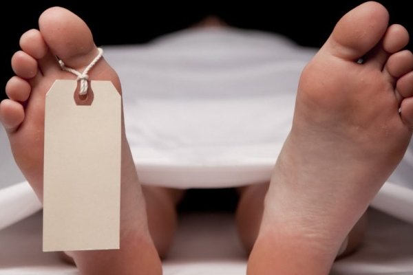 நுவரெலியாவில் குளவிக்கொட்டுக்கு இலக்கான 16 வயது சிறுவன் உயிரிழப்பு! | A Boy Was Killed By A Wasp In Nuwara Eliya