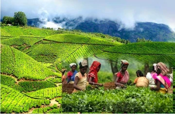 மலையக மக்களின் 200 வருட வாழ்க்கை வரலாற்றை பறைசாற்றும் அருங்காட்சியகம் (Video)