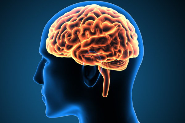 10-000-human-brains-in-buckets