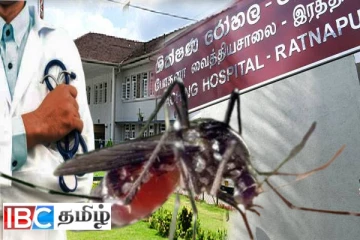 இரத்தினபுரி மருத்துவமனையை தாக்கிய டெங்கு : 100ற்கும் மேற்பட்ட ஊழியர்கள் பாதிப்பு