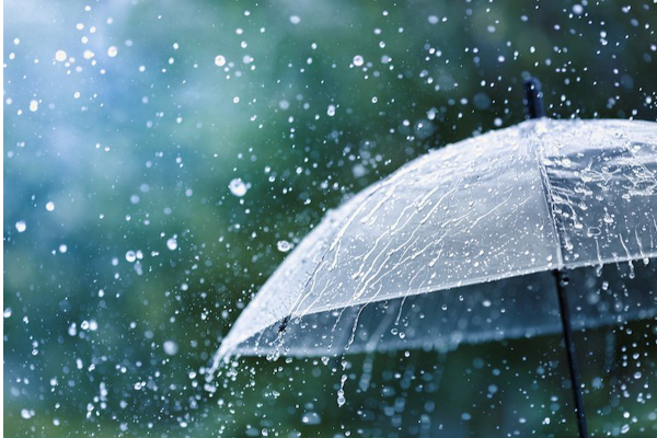 வான்கூவாரில் நூறாண்டுகள் இல்லாத அளவிற்கு கடும் மழை | Eavy Rain Breaks 113 Year Old Record In Vancouve