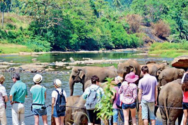 இலங்கையில் திடீரென வந்து குவிந்த சுற்றுலா பயணிகள்! | Tourists Suddenly Arrived In Sri Lanka March Month