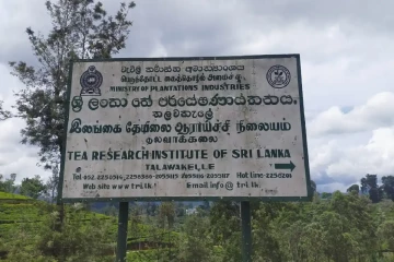 தேயிலை ஆராய்ச்சி நிறுவனத்திற்குள் நடத்தப்பட்ட மோசமான செயல்