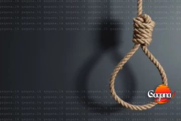 මොන අපරාධයක්ද කිරිසප්පයව මරලා අම්මත් බෙල්ලේ වැල දාගෙන