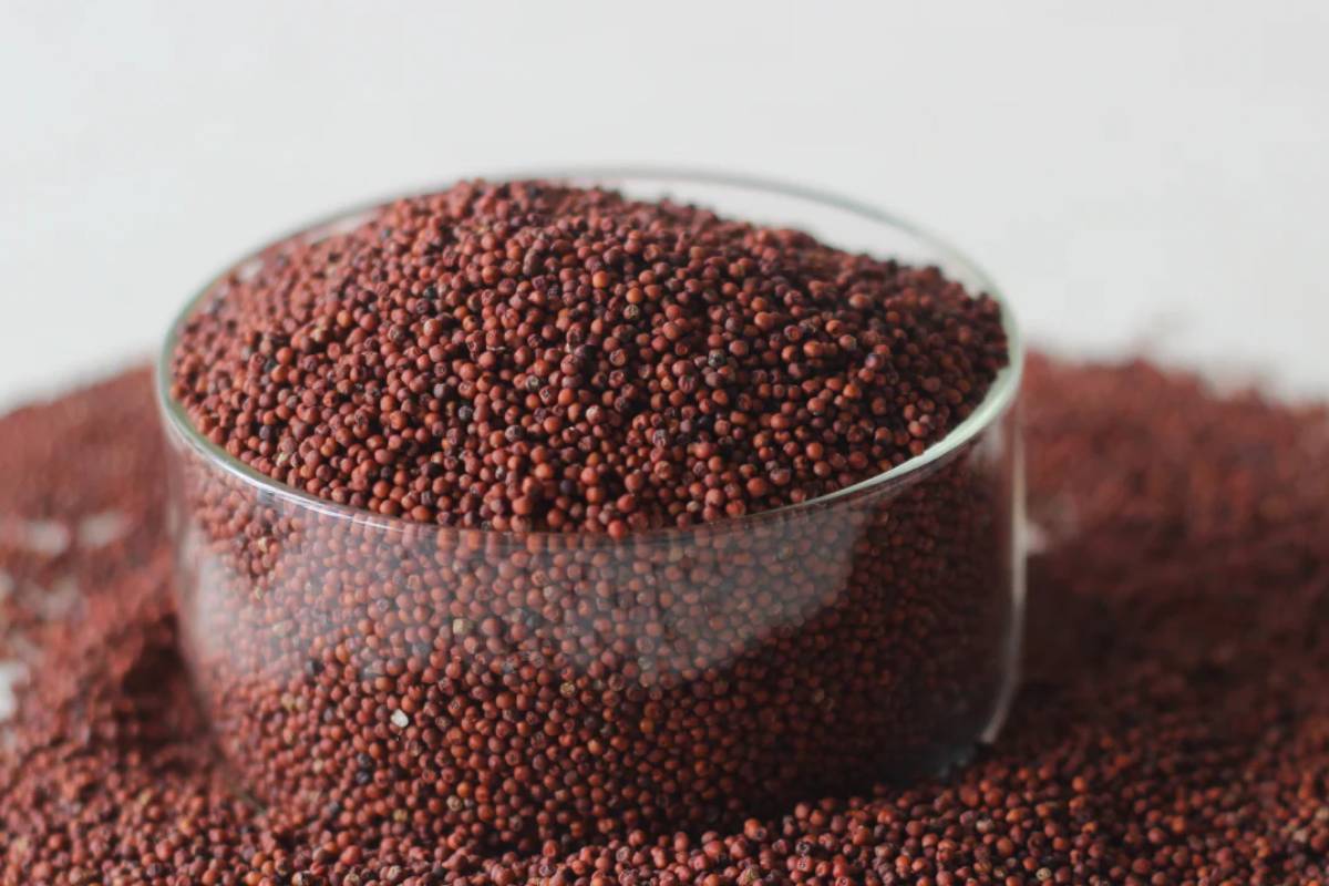 எலும்பை வலுவாக்க உதவும் 5 இயற்கை உணவுகள்.., என்னென்ன தெரியுமா? | 5 Natural Foods That Help Strengthen Bones