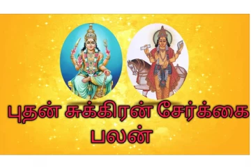 புதன்- சுக்கிர சேர்க்கை! பணவரவு இந்த ராசிக்கு தான்- இன்றைய ராசிப்பலன்