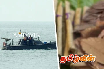 பாலாவியில் கைப்பற்றப்பட்ட 75 இலட்சம் பெறுமதியான பீடி இலைகள்