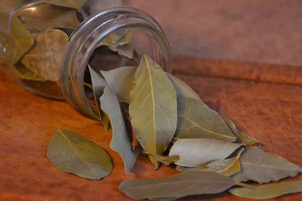 உங்க பிறந்த கிகதி இதுவா? அப்போ 31 திகதி இதை செய்ங்க... 2026 சிறப்பாகும் | Ur Birthday Date Do This On 31St 2026 Will Special