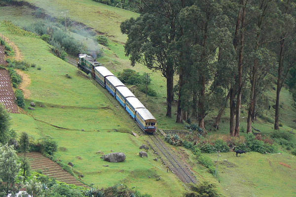 மிதிவண்டியை விட மெதுவாக செல்லும் ரயில் - தமிழ்நாட்டில் எங்கே உள்ளது தெரியுமா? | India Slowest Train Nilgiris Express In Tamil Nadu