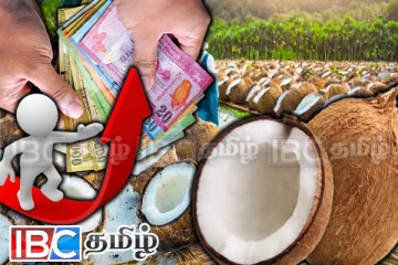 காலநிலை மாற்றத்தின் எதிரொலி : உச்சம் தொட்ட தேங்காய் விலை