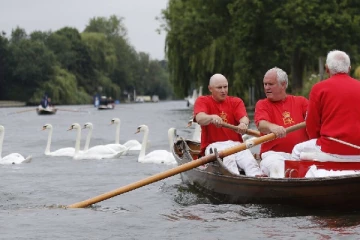 நூற்றாண்டுகளை கடந்தும் தொடரும் அன்னப்பறவைகள் எண்ணும் நிகழ்வு