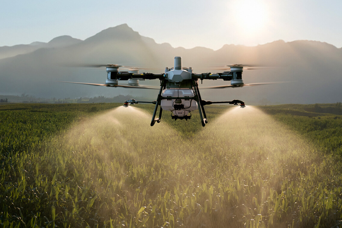 உலர் வலய பயிர்செய்கைக்காக களமிறக்கப்படும் ட்ரோன்கள்! | Plan To Use Drone Technology For Paddy Farming