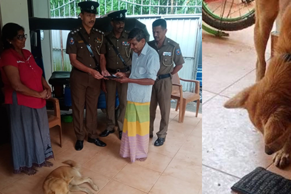 இலங்கையில் ஹீரோவான வளர்ப்பு நாய்! | Pet Dog Is A Hero In Sri Lanka