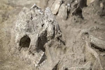 ஸ்பெயின் 1.4 மில்லியன் ஆண்டுகள் பழமையான எலும்புகள் கண்டுபிடிப்பு