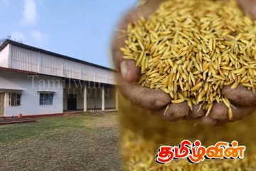 வவுனியாவில் நெல் கொள்வனவு மேற்கொள்ளப்படவில்லை: விவசாயிகள் கவலை