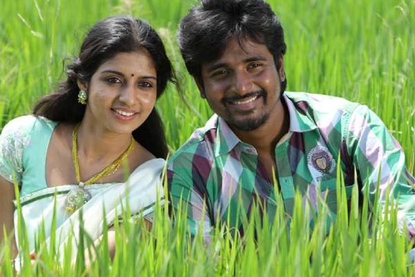 ஆள் அடையாளம் தெரியாமல் மாறிய சிவகார்த்திகேயன் பட நாயகி ஆத்மியா.. புகைப்படங்கள்.. | Sivakarthikeyan Movie Actress Athmiya After Marry
