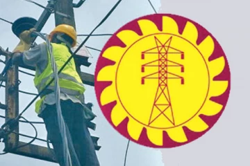 மின் கம்பம் வீழ்ந்து ஊழியர் உயிரிழப்பு