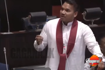 දේශබන්දු සිද්ධලේප නෙවෙයි මොනවා ගෑවත් ඒක කියන්න ඕනේ විදිහක් තියෙනවා, අධිකරණ ඇමතිට අධිකරණ නීති කියා දෙන නාමල්[VIDEO]